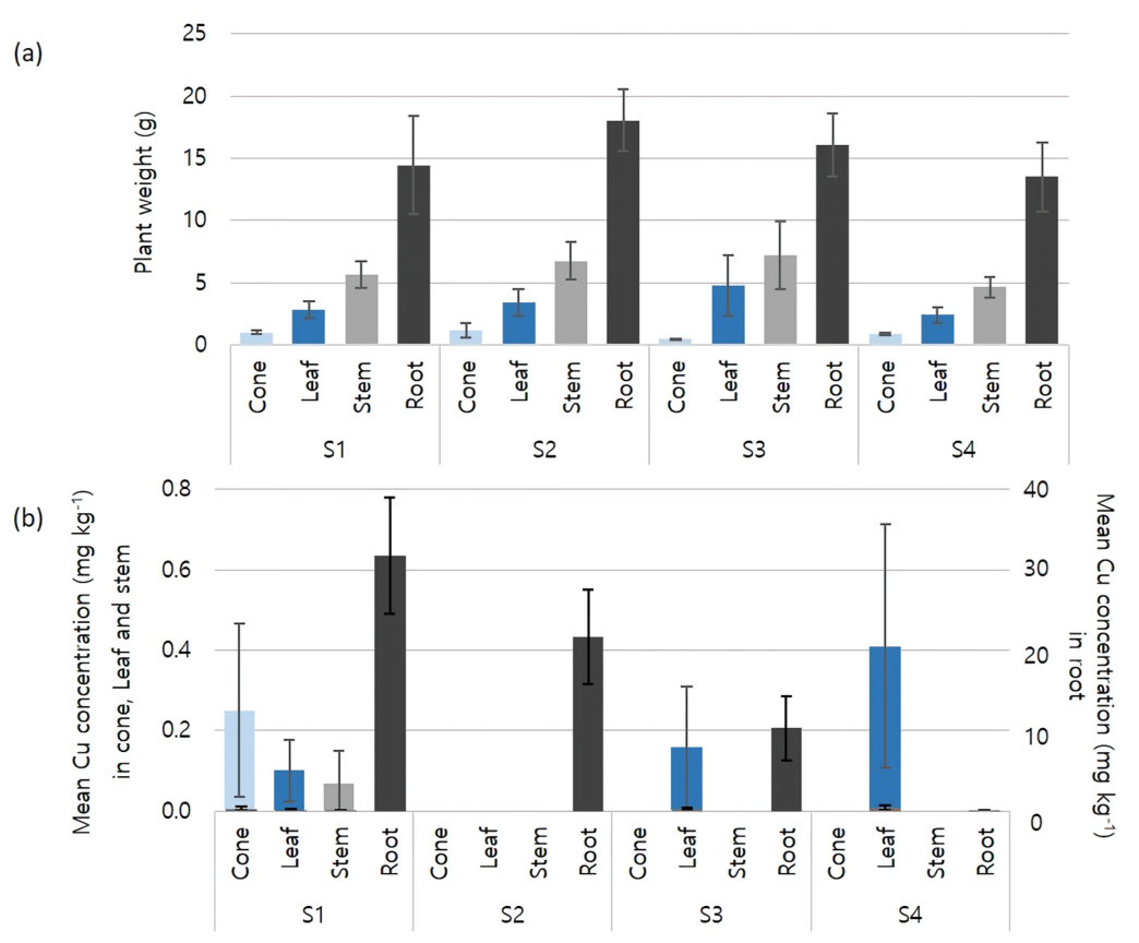 Fig. 7. (a) Plant mass and (b) Cu concentrations in plant components after 120-day rhizobox experiment. Soil types labelled as S1 (SOM: 6.1 %, Cu: 263 mg kg− 1), S2 (SOM: 12.0 %, Cu: 160 mg kg− 1), S3 (SOM: 7.30 %, Cu: 9