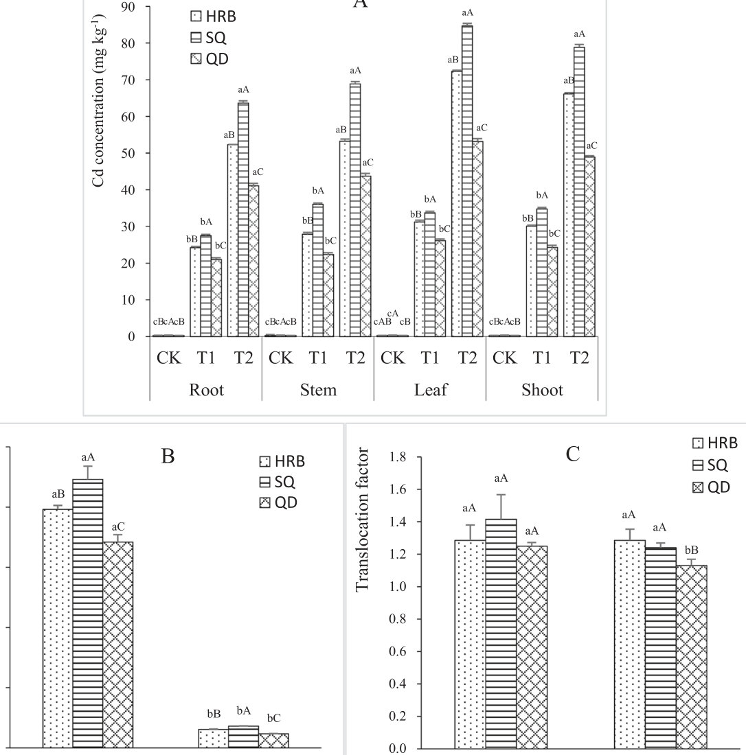 Fig. 1. Cd concentration, enrichment factor and translocation factor of three ecotypes (HRB:Harbin, SQ: SuQian, QD: QingDao, CK = control, T1 = 0.2 mg L− 1, T2 = 5 mg L− 1. Capital letters over the bars indicated signifi