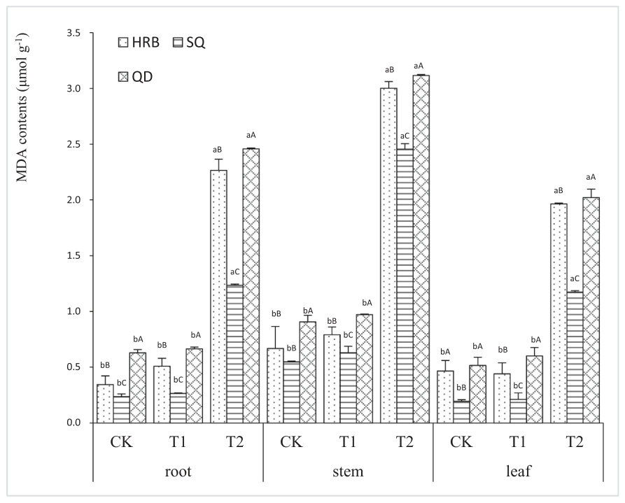 Fig. 3. MDA contents in stems a leaves of three S. nigrum ecotypes (HRB:Harbin, SQ: SuQian, QD: QingDao, CK = control, T1 = 0.2 mg L− 1, T2 = 5 mg L− 1.Capital letters over the bars indicated significant differences (P <