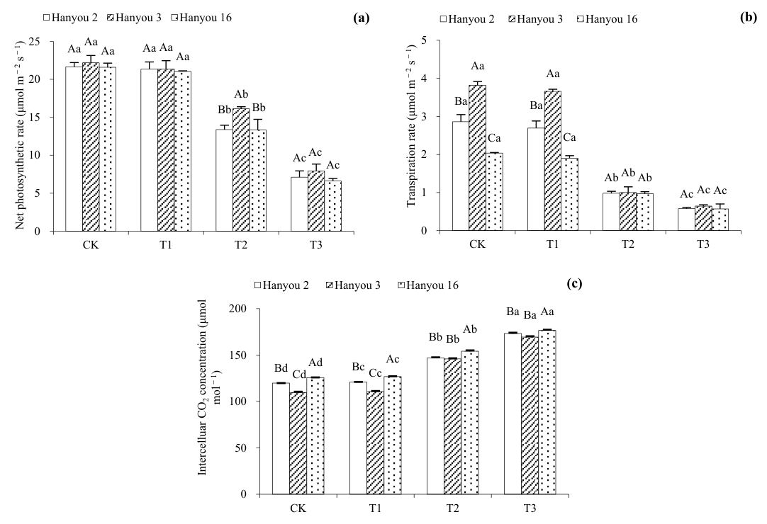 Figure 3. Net photosynthetic rate (a), transpiration rate (b), and intercellular CO2 concentration (c) of three B. napus cultivars. Different capital letters over columns between different cultivars indicate significant