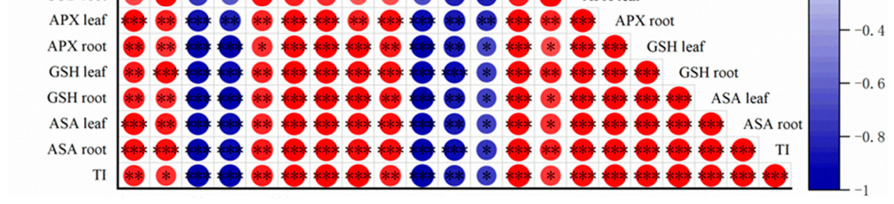 Figure 7. Pearson correlation of tolerance index (TI) with Cd concentration, biomass, and physiological indicators of three cultivars. Red indicates positive correlation and blue indicates negative correlation. * means s