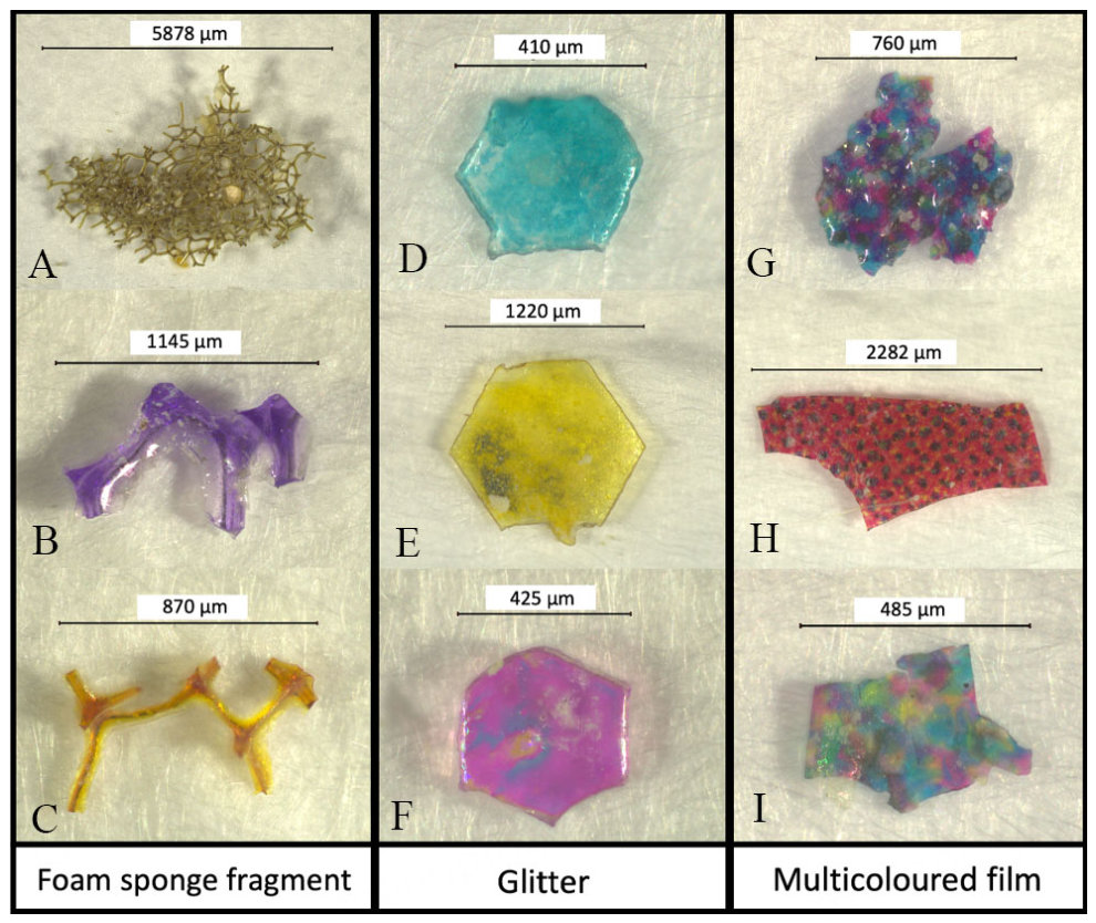 Figure 3. Examples of microplastic foam sponge fragments (A-C), glitter (D-F), and multicolored films (G-I) in biowaste samples.