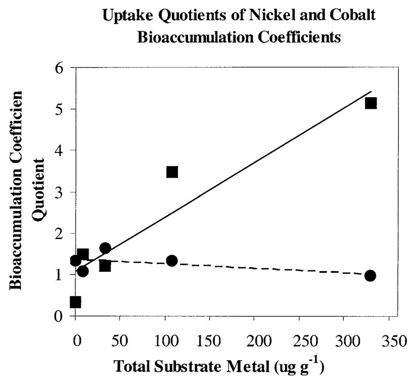 FIGURE 3. Bioaccumulation coefficient quotients (single-element substrates uptake/mixed-element substrate uptake) for Ni and Co uptake by Berkheya coddii (dry wt., n = 8) for a range of total substrate metal concentratio