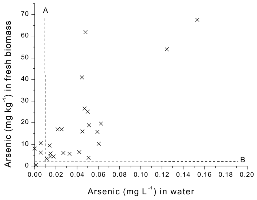Fig. 2. The arsenic concentration (mg kgy1 fresh weight) in the shoots of L. sativum vs. water arsenic concentration (mg ly1) in samples collected along the Waikato river. Lines A and B represent WHO limits for arsenic i
