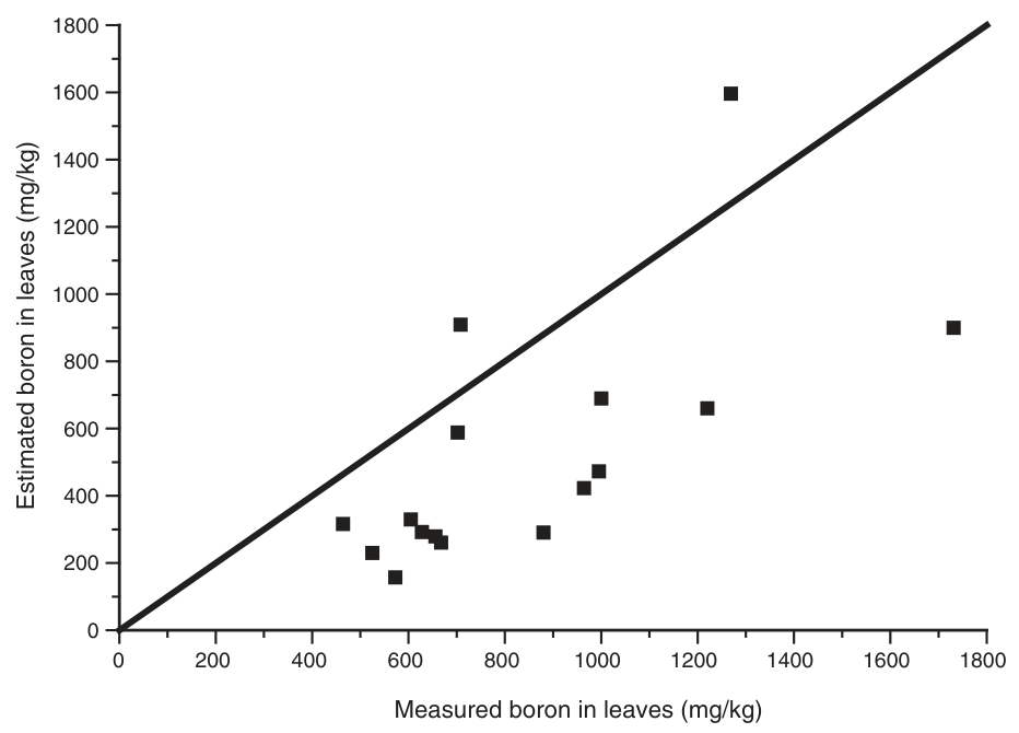 Fig. 4. Measured v. estimated B concentrations (mg/kg dry mass) in leaves from the trees growing on the Kopu sawdust pile at the end of the 2001–02 season. The solid line represents y = x.
