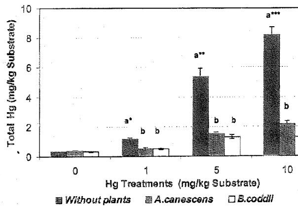 Figure 6. Total Hg concentrations in controls and planted substrates after application of 1, 5, and 10 mig/kg of soluble Hg (HgCL,) to pots. Bars denote 11 standard deviation from the mean of three replicates. Letters co