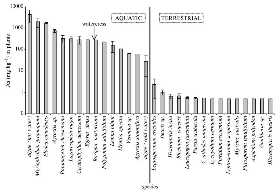 Figure 6 Mean arsenic concentration in plants collected from the Taupo volcanic zone (TVZ) (Robinson et al., 2004).