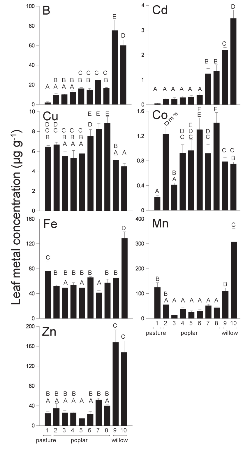 Fig. 3 Trace element accumulation in pasture, poplars, and willows from the Aokautere Nursery. Bars with the same letters are not significantly different. Table 2 identifies the species (1–10). The soil concentrations ar