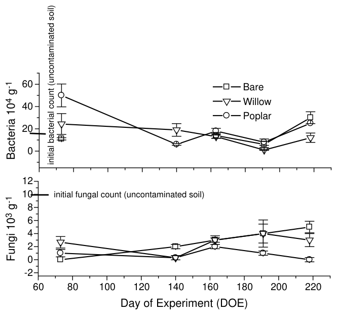 Fig. 4. The change in number of bacteria and fungi present in soil following contamination with PCP at 250 mg kg-1 PCP in soil. Error bars represent standard errors of the mean (nZ3).