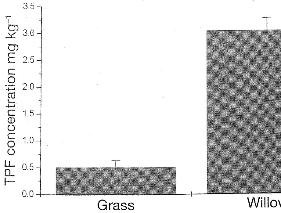 Fig. 4. Soil triphenylformazan (TPF) concentration under grass and willow vegetation.