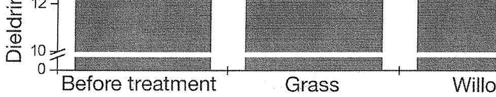 Pig. 5. Soil dieldrin concentration as affected by vegetation cover.