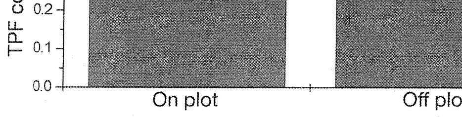 Fig. 7. Biological activity in the surface of the Tui mine tailings, as measured by triphenyl farmazan (TPF) concentration, on and off the phytoremediation plot.