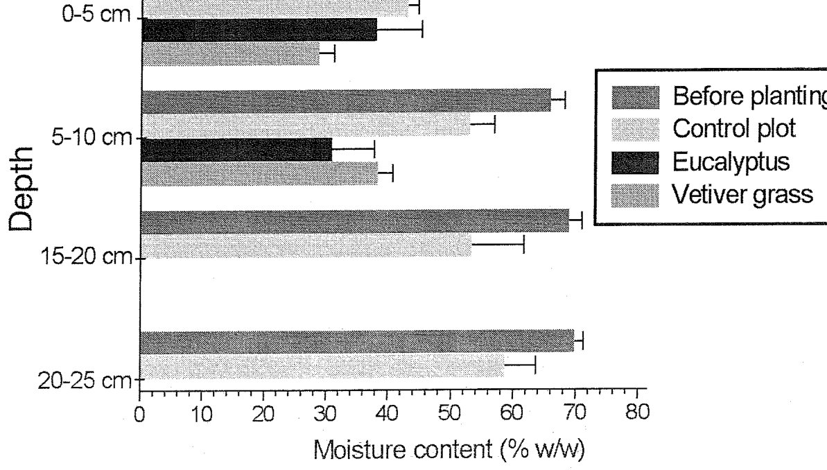 Fig. 9. Water contents of the sludge at Werribee under select plantings.