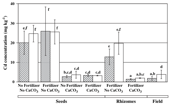 Fig. 3. Cd accumulation in roots (filled columns) and shoots (white columns) of plants grown from seeds (n = 3) or rhizomes (n = 4) under different treatments and of plants collected in the field (n = 5). Black bars on c