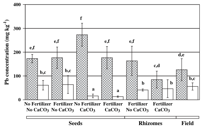 Fig. 4. Pb accumulation in roots (filled columns) and shoots (white columns) of plants grown from seeds (n = 3) or rhizomes (n = 4) under different treatments and of plants collected in the field (n = 5). Black bars on c
