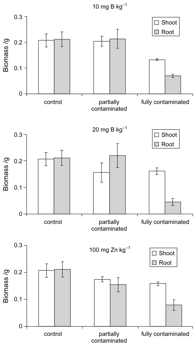 Figure 8 Average shoot and root biomass in control, heterogeneously (partially contaminated) and fully contaminated (fully contaminated) slabs. Error bars are standard errors of the mean (n = 3). Means with non-overlappi
