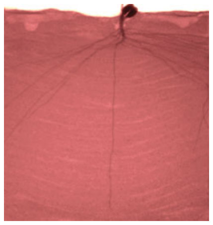 (a)