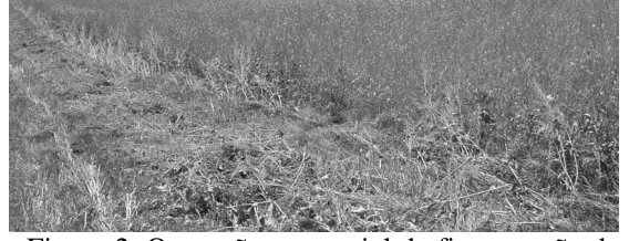 Figure from page 4 of the original article