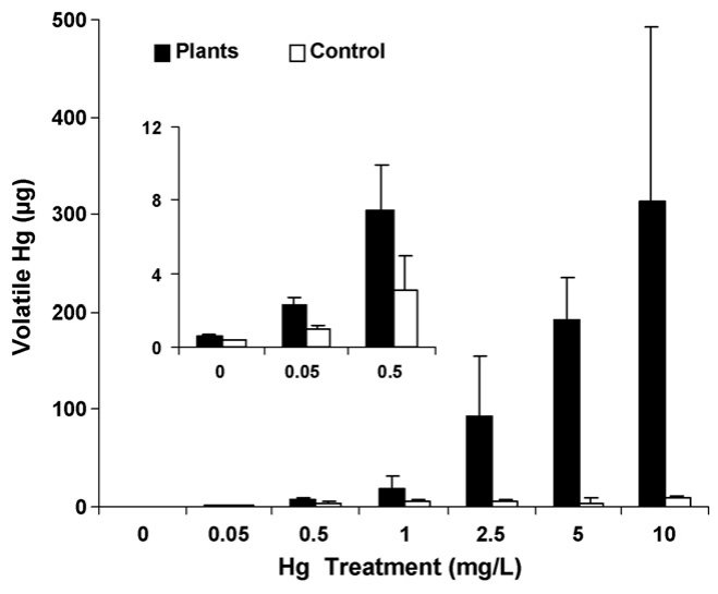 Fig. 3. Mercury mass (�g) captured in permanganate acid traps for B. juncea plants cultured for 5 days in solutions containing Hg at concentrations ranging from 0 to 10 mg/L. Controls comprised of Hg-treated solutions wi