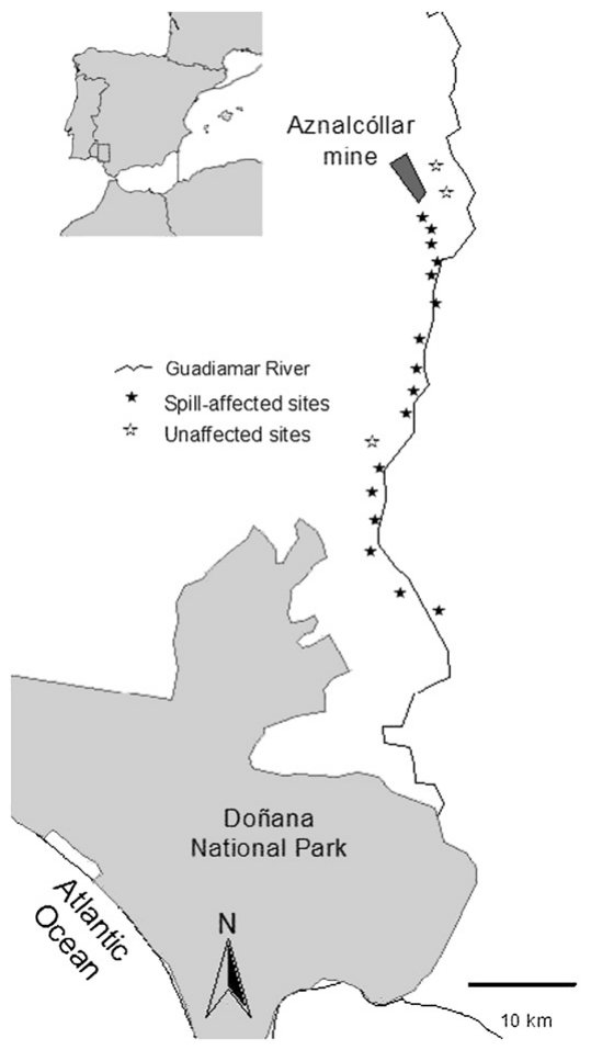 Fig. 1. Situation of the Guadiamar River Valley (SW Spain) inside the Iberian Peninsula and locations of the sampling sites.