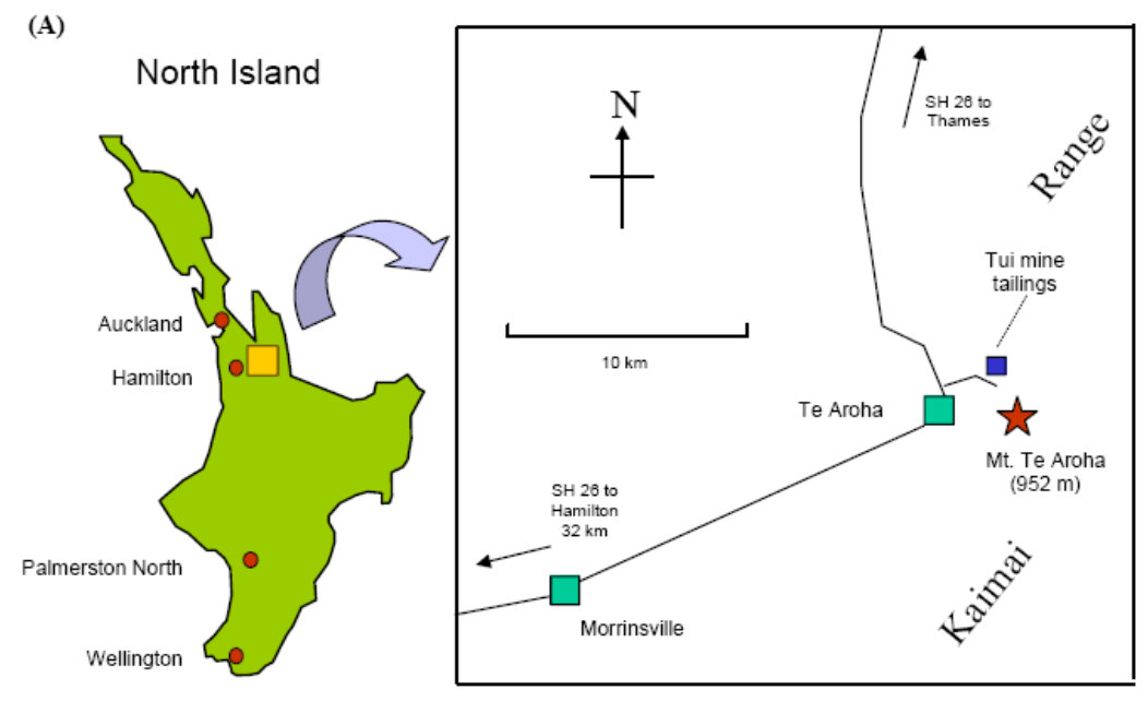 Figure from page 8 of the original article