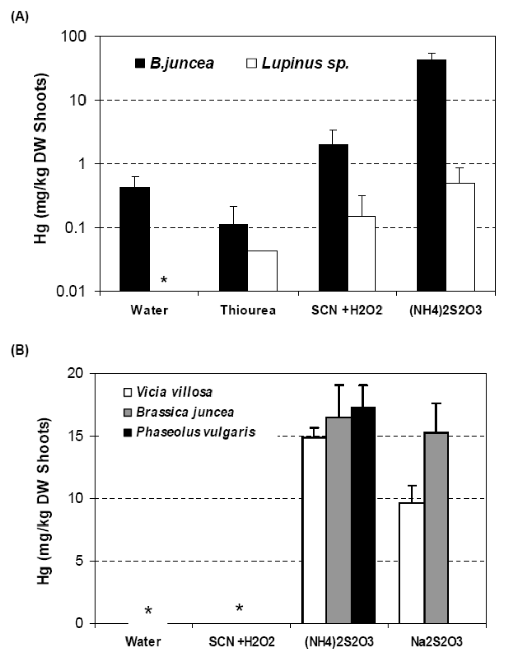 Figure 7. Shoot Hg concentrations in different plant species after application of sulphur-containing ligands at 2g/kg to Tui (a) modified GM mine tailings (b). Note that Water = control, SCN + H2O2 = ammonium thiocyanate