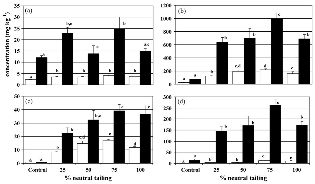 Fig. 4. Metal uptake in L. spartum for (a) Cu; (b) Zn; (c) Cd; (d) Pb. 3 < N < 6. White columns are shoots and black columns are roots. Error bars represent standard errors. Different letters indicated significant differ