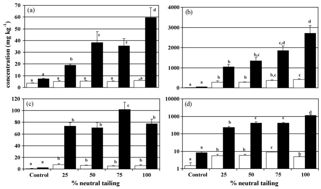Fig. 5. Metal uptake in C. arietinum for (a) Cu; (b) Zn; (c) Cd; (d) Pb. 3 < N < 6. White columns are shoots and black columns are roots. Error bars represent standard errors. Different letters indicated significant diff