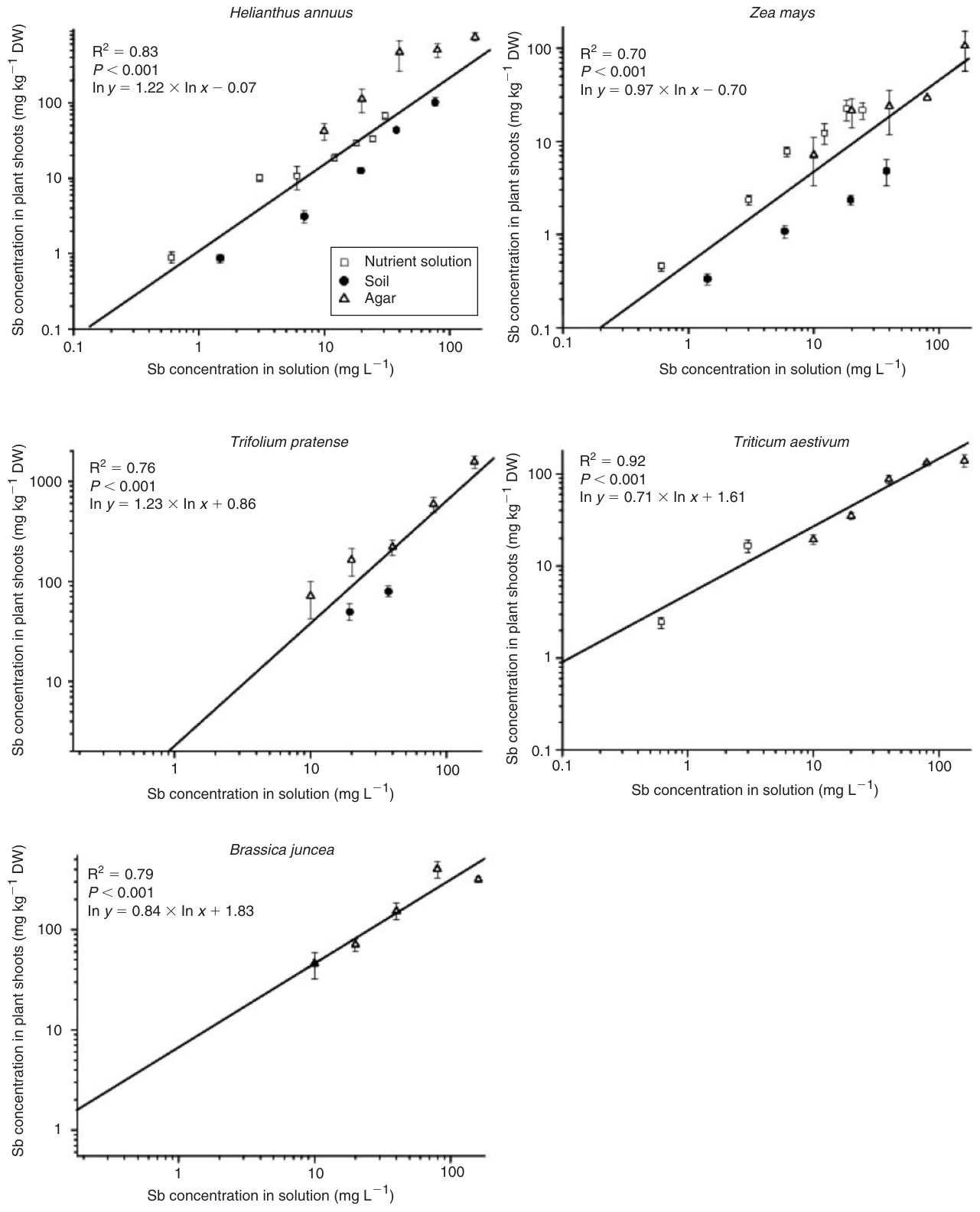 Fig. 3. Dependence of Sb accumulation in the shoots of sunflower, maize, wheat, Indian mustard and clover seedlings on the available Sb concentration (mg kg−1 DW, dry weight) in the growth medium: hydroponic solution (sq