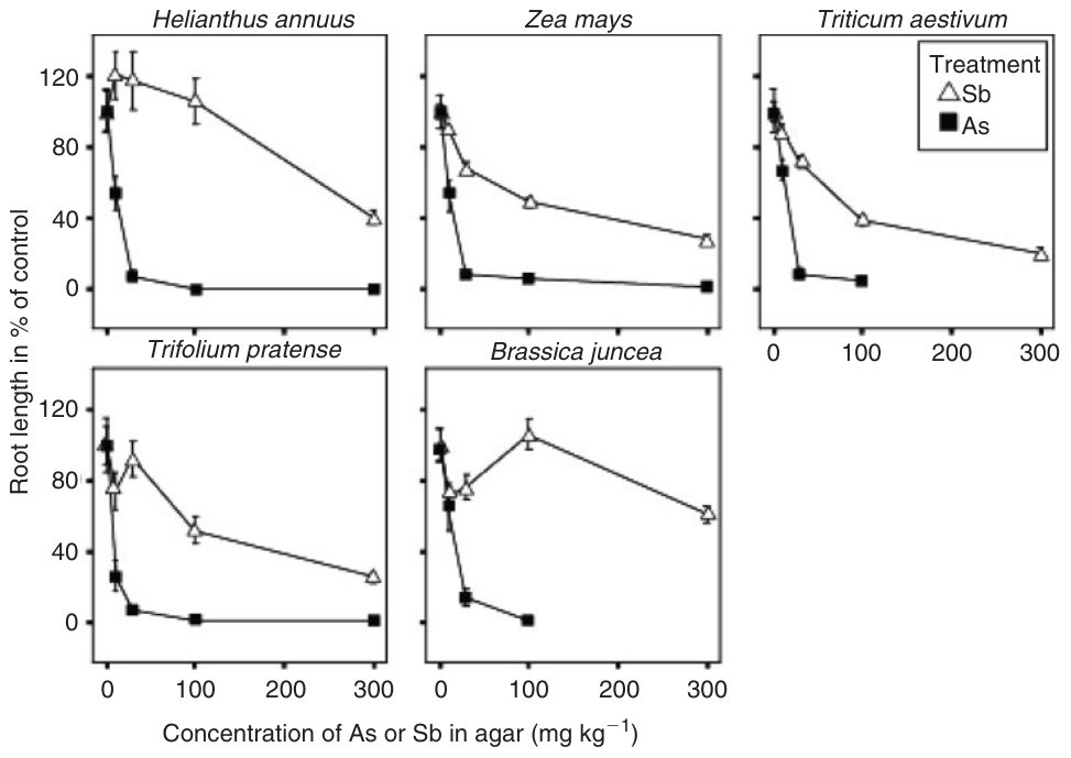 Fig. 5. Relative root length of plant seedlings grown for 2 weeks in Petri dishes with agar at different concentrations of either As or Sb.