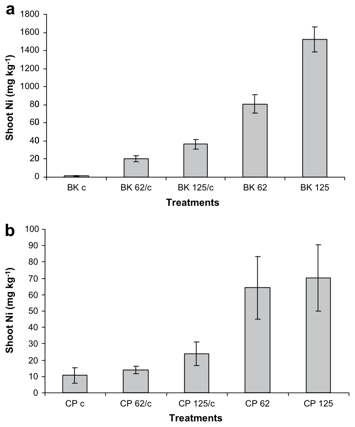 Fig. 8. Ni concentrations in the above-ground biomass of Berkheya coddii (a) and Cicer arietinum (b) after 5 weeks of growth in soil homogeneously and heterogeneously spiked with nickel. The error bars show standard devi