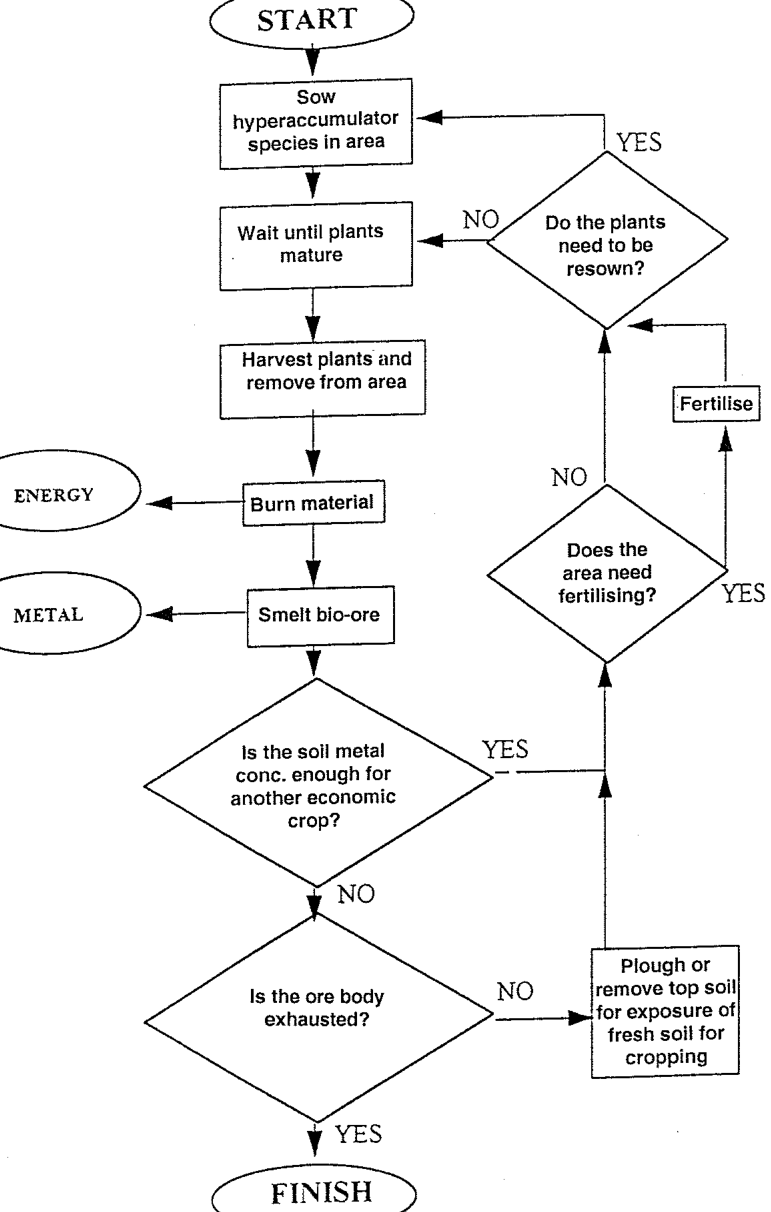 Figure from page 27 of the original article