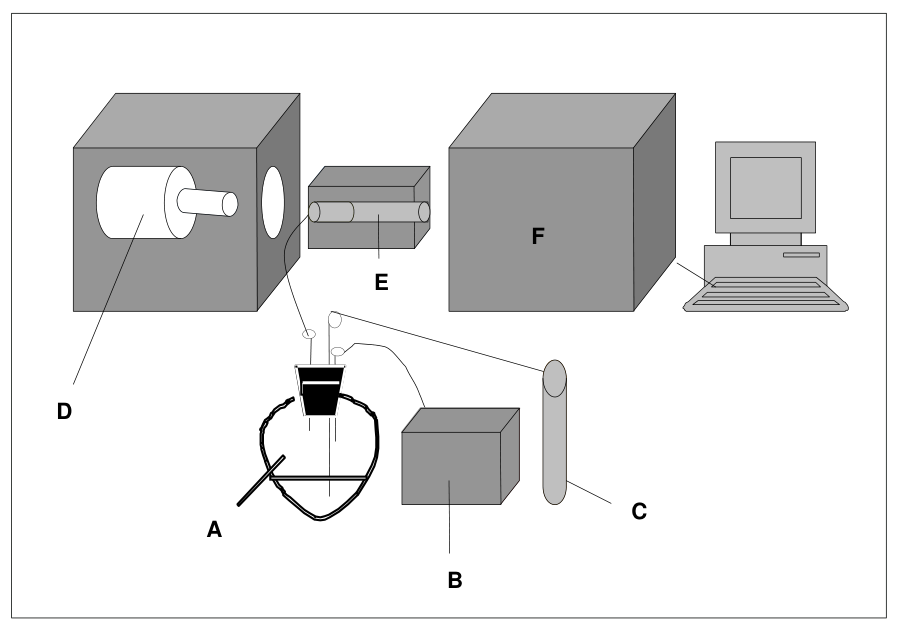 Figure 1 - Schematic diagram of the hydride generation apparatus. A, Hg-vapour generation flask (reaction vessel); B, peristaltic pump; C, nitrogen source; D, mercury lamp; E, heating device; F, absorption tube.
