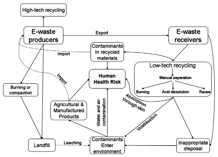Fig. 3. Fluxes of contaminants associated with E-waste from producers to receivers and ultimately to humans.