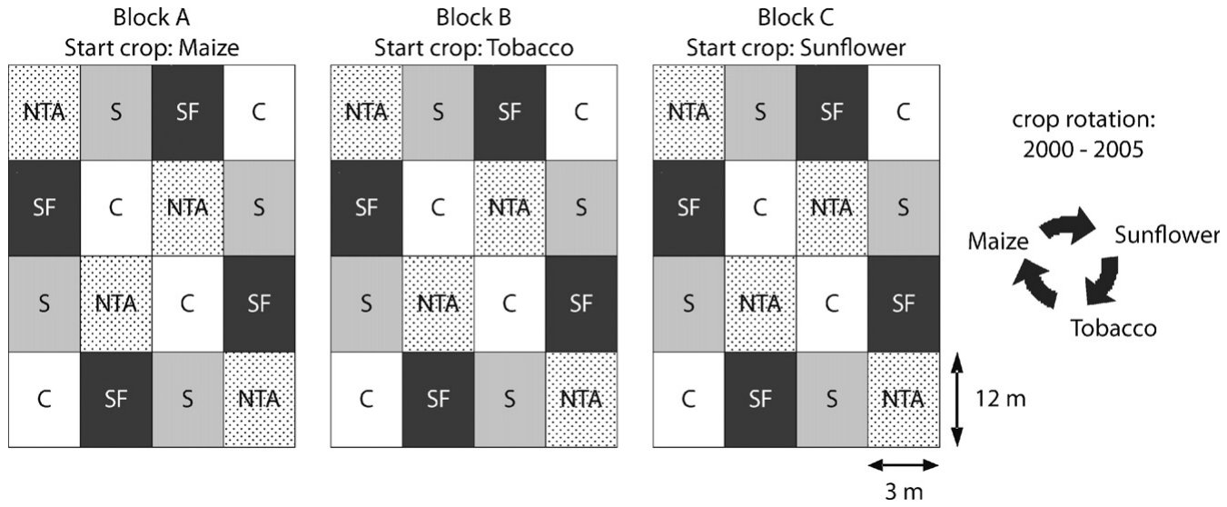 Fig. 1. Experimental design. Each block was cultivated as a separate field. The crops grown on each block changed from year to year in the same rotation but with a phase shift between the three blocks. Treatments started