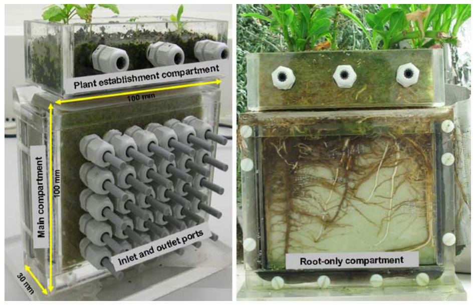 Fig. 1 The rhizobox set up with a view of the outlet and inlet ports (left) and the root-only compartment (right)