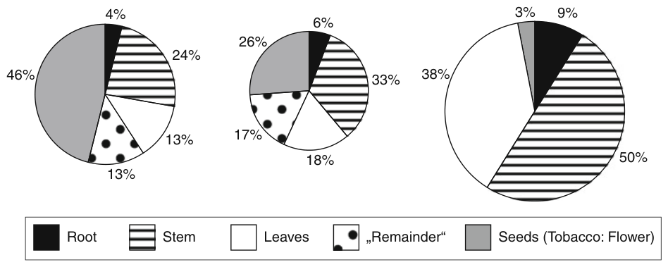 Fig. 2 Dry weight proportions of maize (left), sunflower (middle) and tobacco (right) parts of the plants of the control treatment. ‘‘Remainder’’ consists of cobs (without grains) and male flowers in maize and heads with