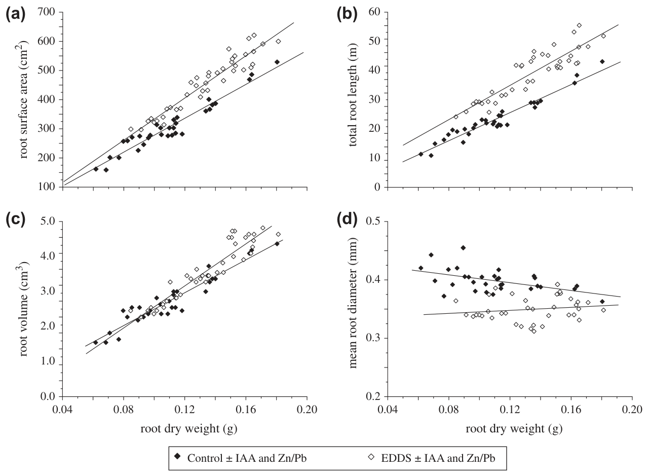 Fig. 3. Effects of EDDS on relationships between root growth parameters. Regression lines between root dry weight and (a) root surface area, (b) total root length, (c) root volume, and (d) mean root diameter of sunflower