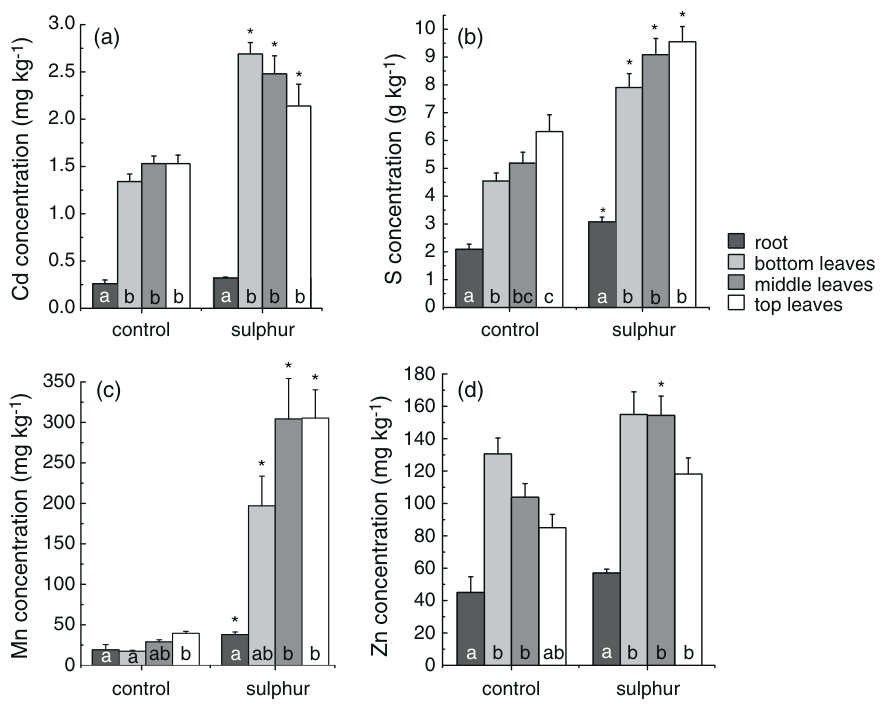 Fig. 1. Concentrations of Cd (a), S (b), Mn (c) and Zn (d) in field-grown tobacco leaves and roots in control and sulphur treatments. Letters indicate significant differences between plant parts within a treatment; aster