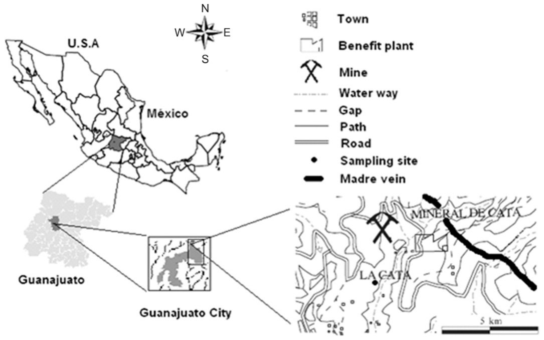 Fig. 1. Location of La Cata mine tailings in Guanajuato, México.
