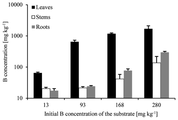 Figure 2. Concentrations of B in roots, stems and leaves of 4 months old P. nigra � euramericana plants. The lowest B concentration (13 mg kg�1) is thecontroltreatment.NotethattheBconcentrationisshownonlogarithmic scale