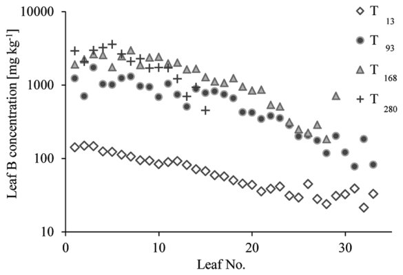 Figure 3. Leaf B concentration as a function of leaf position, counting from bottom to top along the stems of 4 months old poplars grown on substrate with different B concentrations. Note that the B concentration is show