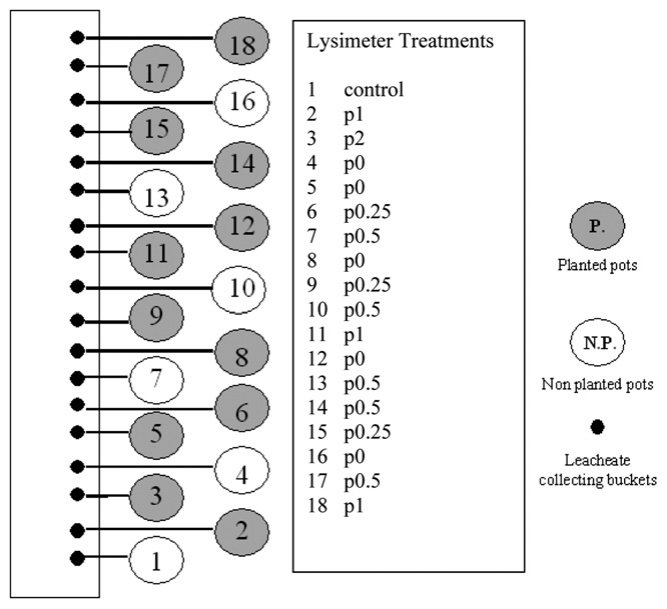 Fig. 1 e Scheme of the experimental set up.