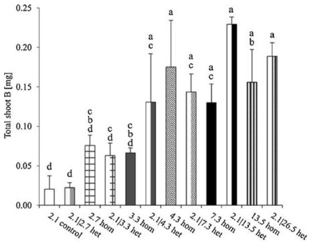 Fig. 9 Mean amount of B accumulated by P. tremula during 86 days of growth in Exp 1. Similar bar shades or fillings indicate similar average soil B concentrations of two treatments. Statistically significant differences