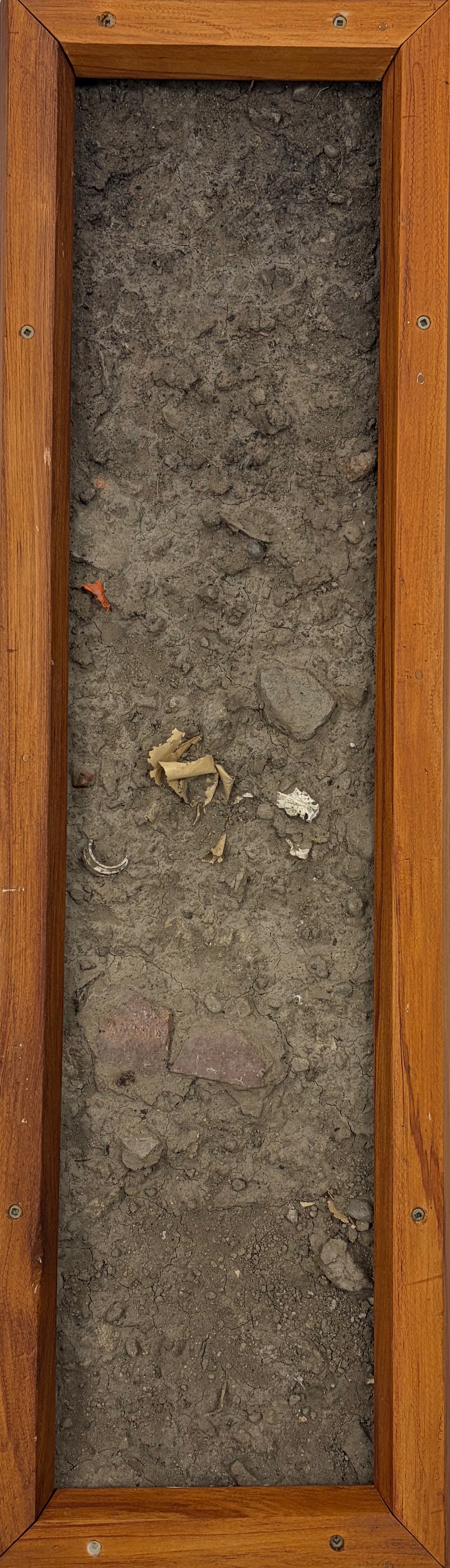 Anthropogenic soil profile from the Red Zone field trial showing man-made objects and biochar surface layer
