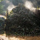 Green-waste & crop residues