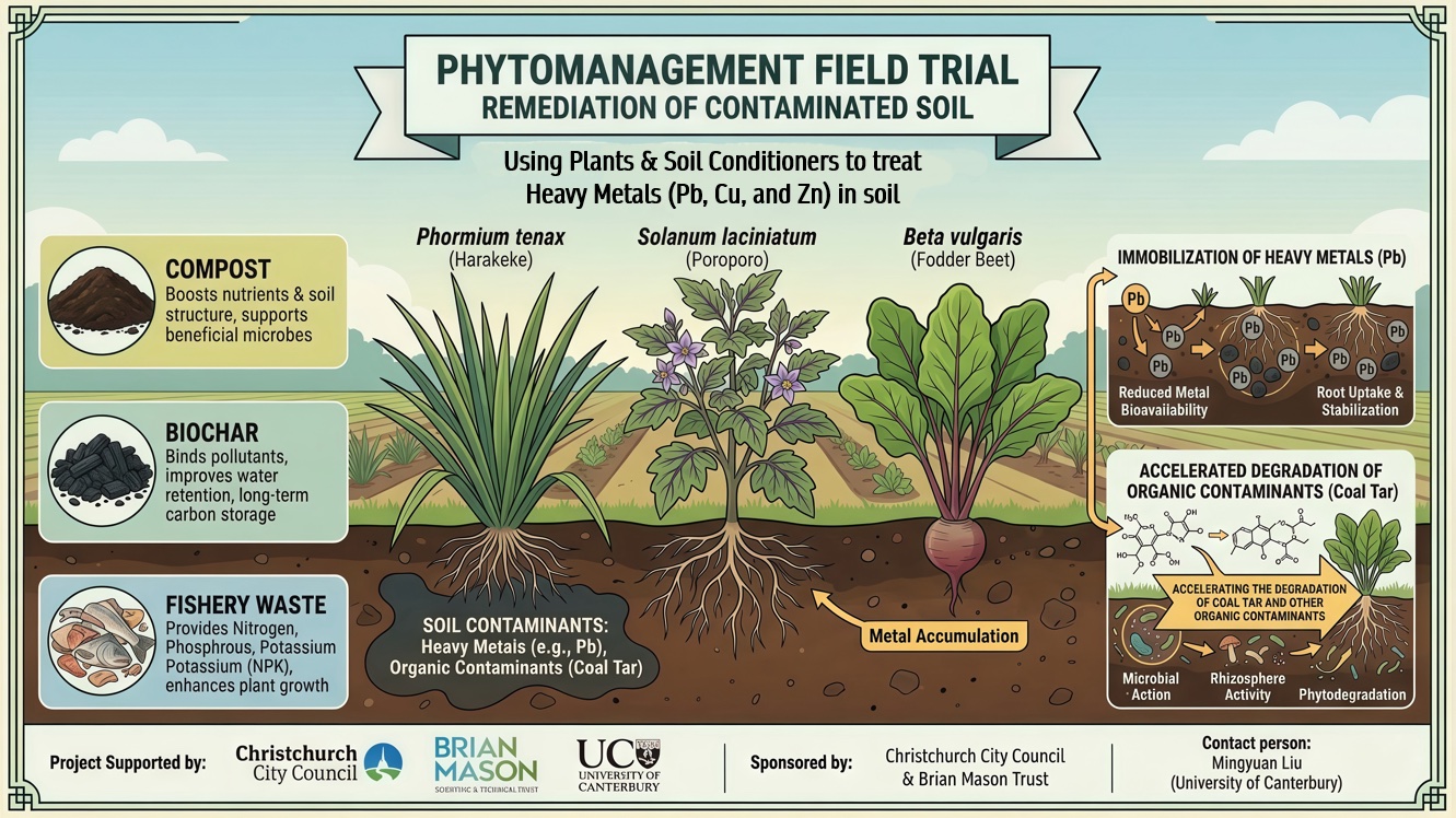 Phytomanagement Field Trial: Remediation of contaminated soil using plants and soil conditioners to treat heavy metals (Pb, Cu, and Zn) in soil